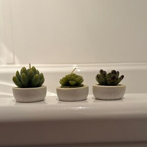 Set of Three Mini Succulent Candles